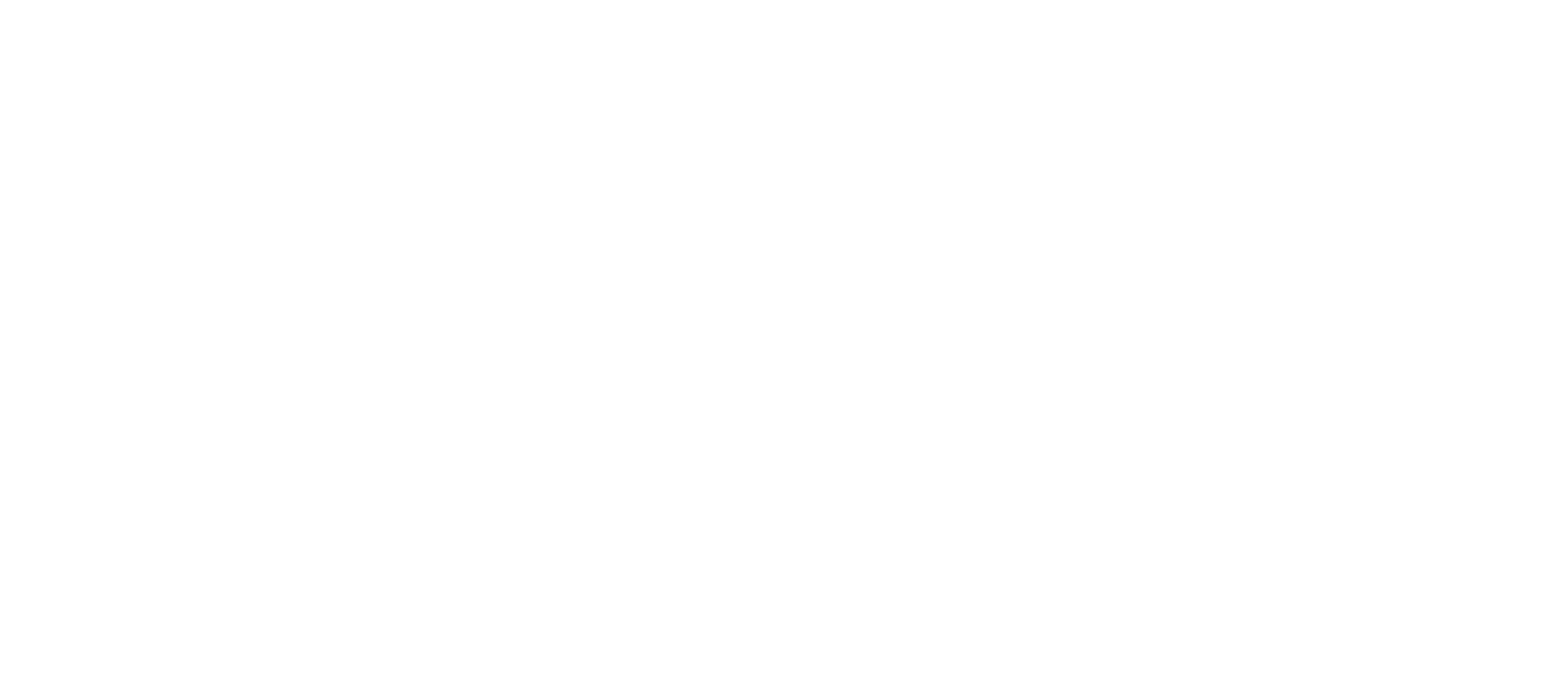 Logo Stoneridge